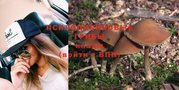 спиды Няндома