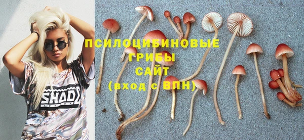 спиды Няндома