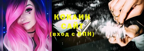 спиды Няндома