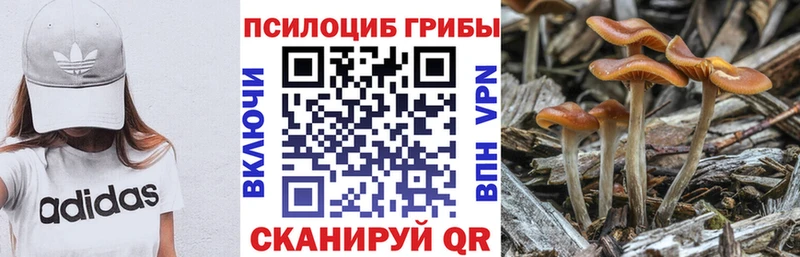 Галлюциногенные грибы мухоморы  даркнет сайт  Юхнов 